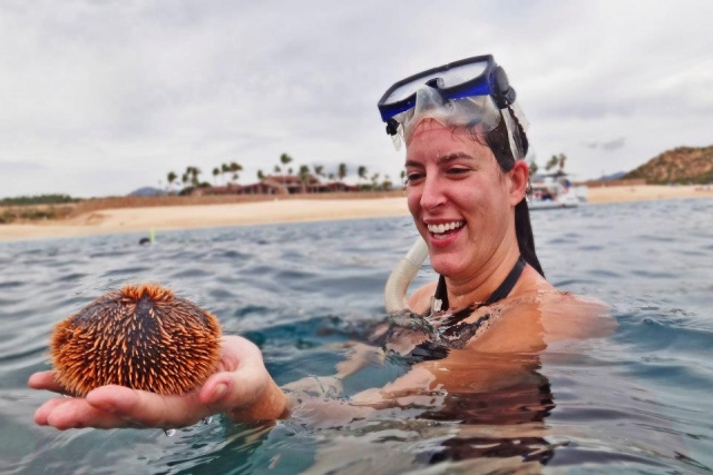  Snorkeling e sorprese 
